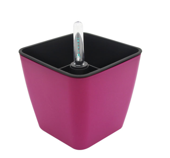 Self-Watering Smart Flower Pot with Absorbent Base