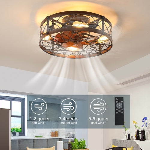 Black Cage Ceiling Fan with Light
