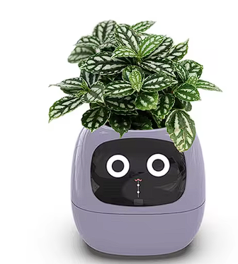 AI Smart Planter for Home Gardening