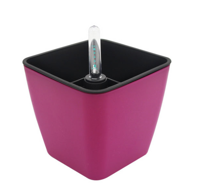 Self-Watering Smart Flower Pot with Absorbent Base