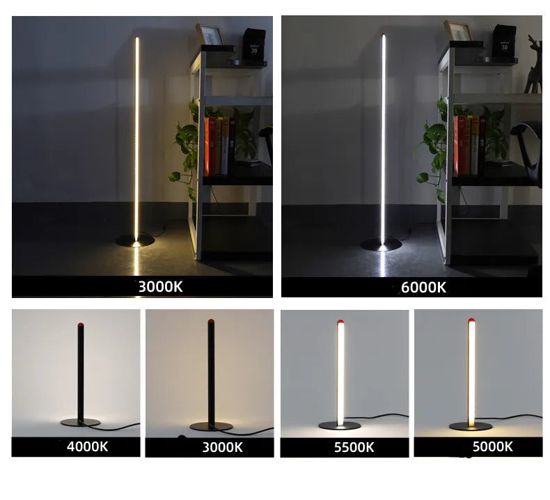 Dimmable LED Corner Floor Lamp