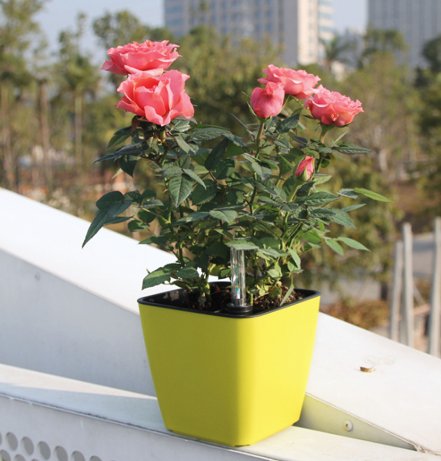 Self-Watering Smart Flower Pot with Absorbent Base